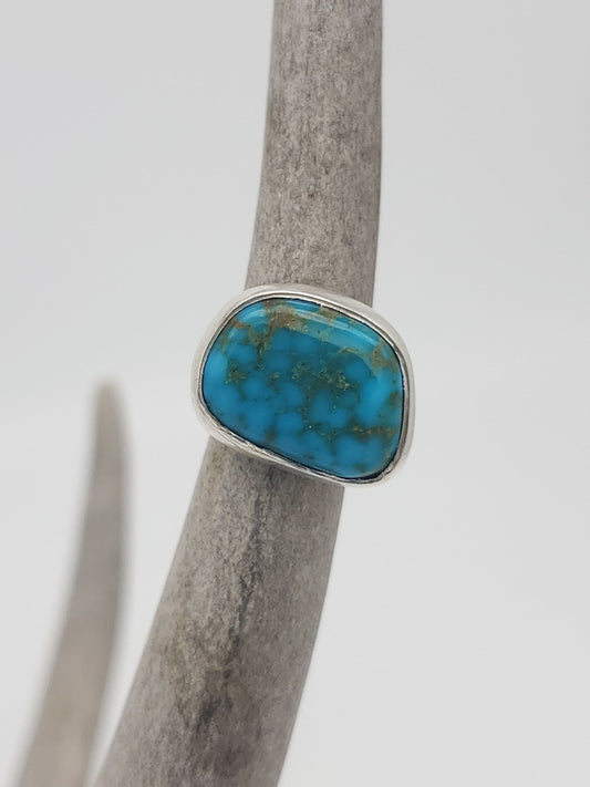 Kingman Mine Turquoise Ring, Size 5, R106