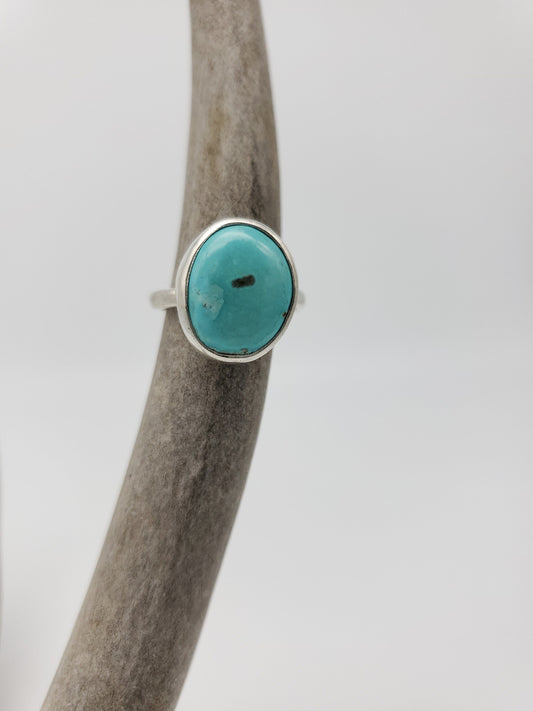 Sleeping Beauty Turquoise Ring, Size 8,  R110