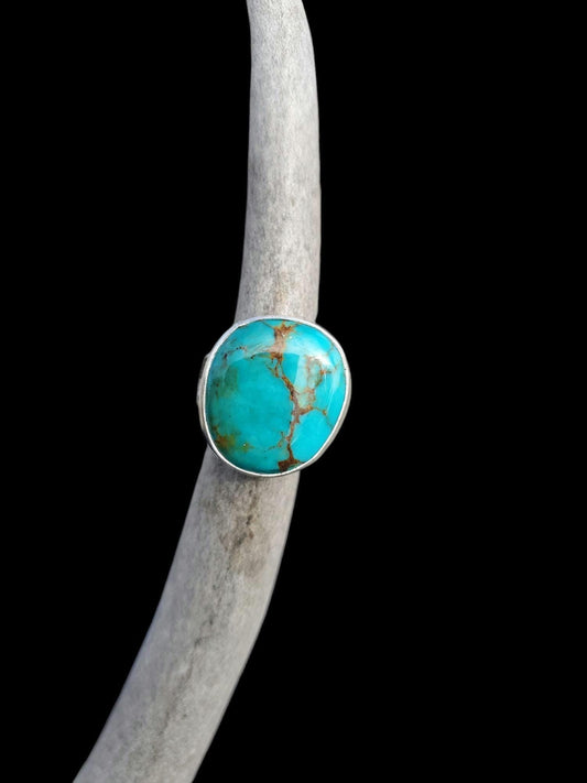 Kingman Mine Turquoise Ring, Size 7, R285