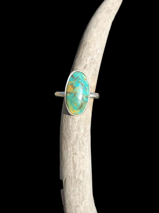 Turquoise Mountain Ring, Size 10, R297