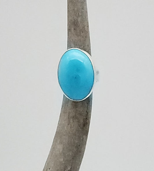 Blue Bird Ring, Size 5 3/4